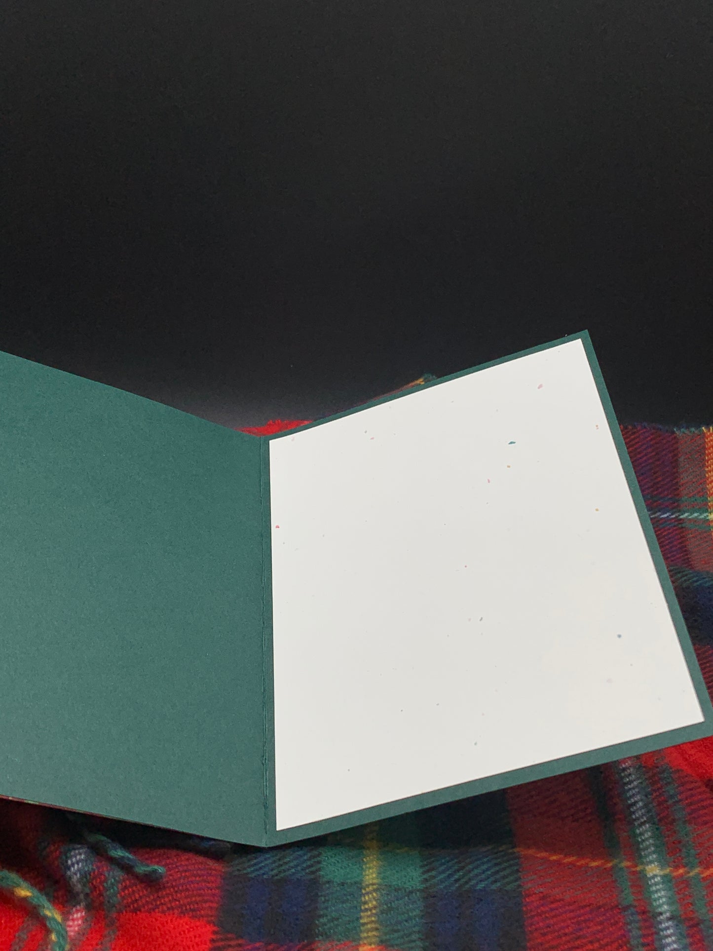 3D Poinsettia Christmas Card