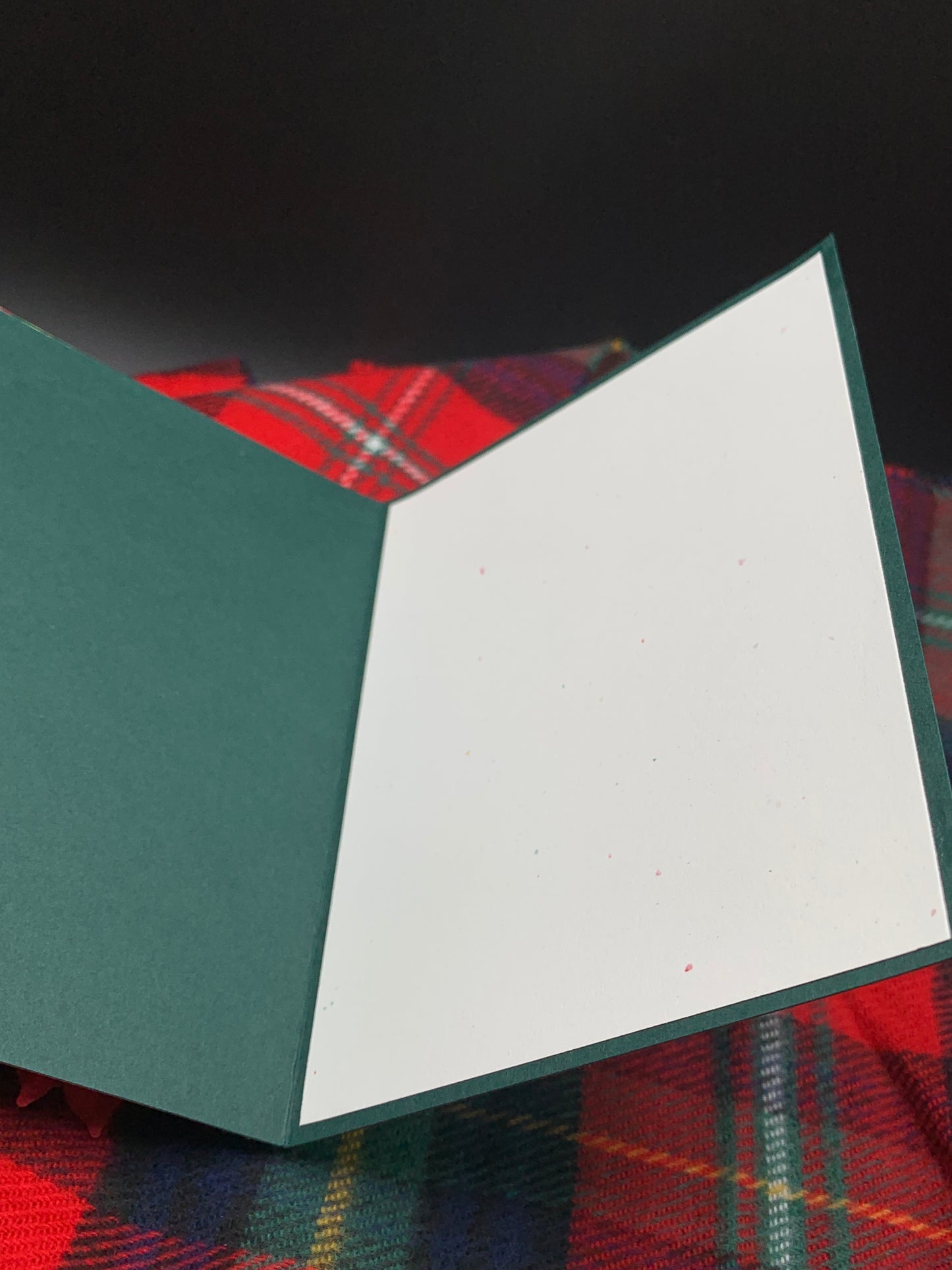 3D Poinsettia Christmas Card