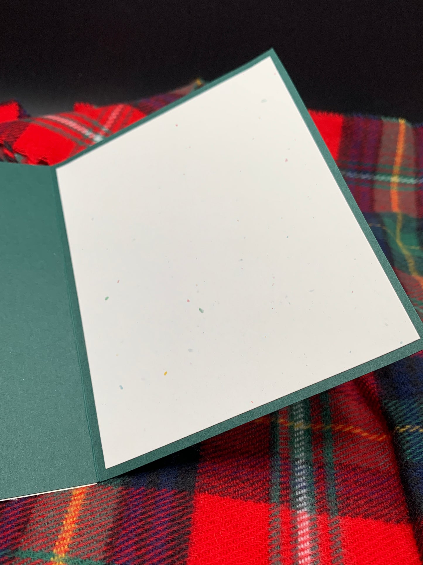 3D Poinsettia Christmas Card