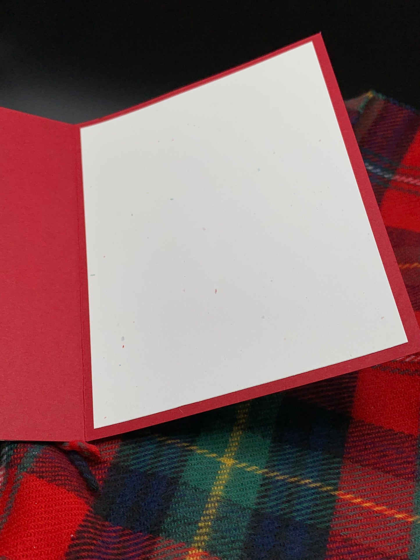 3D Poinsettia Christmas Card