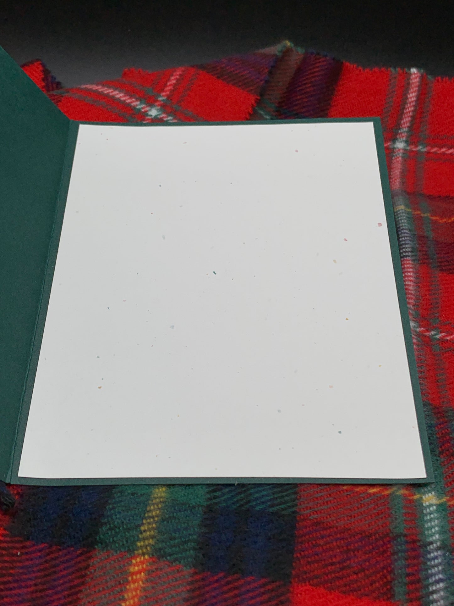 3D Poinsettia Christmas Card